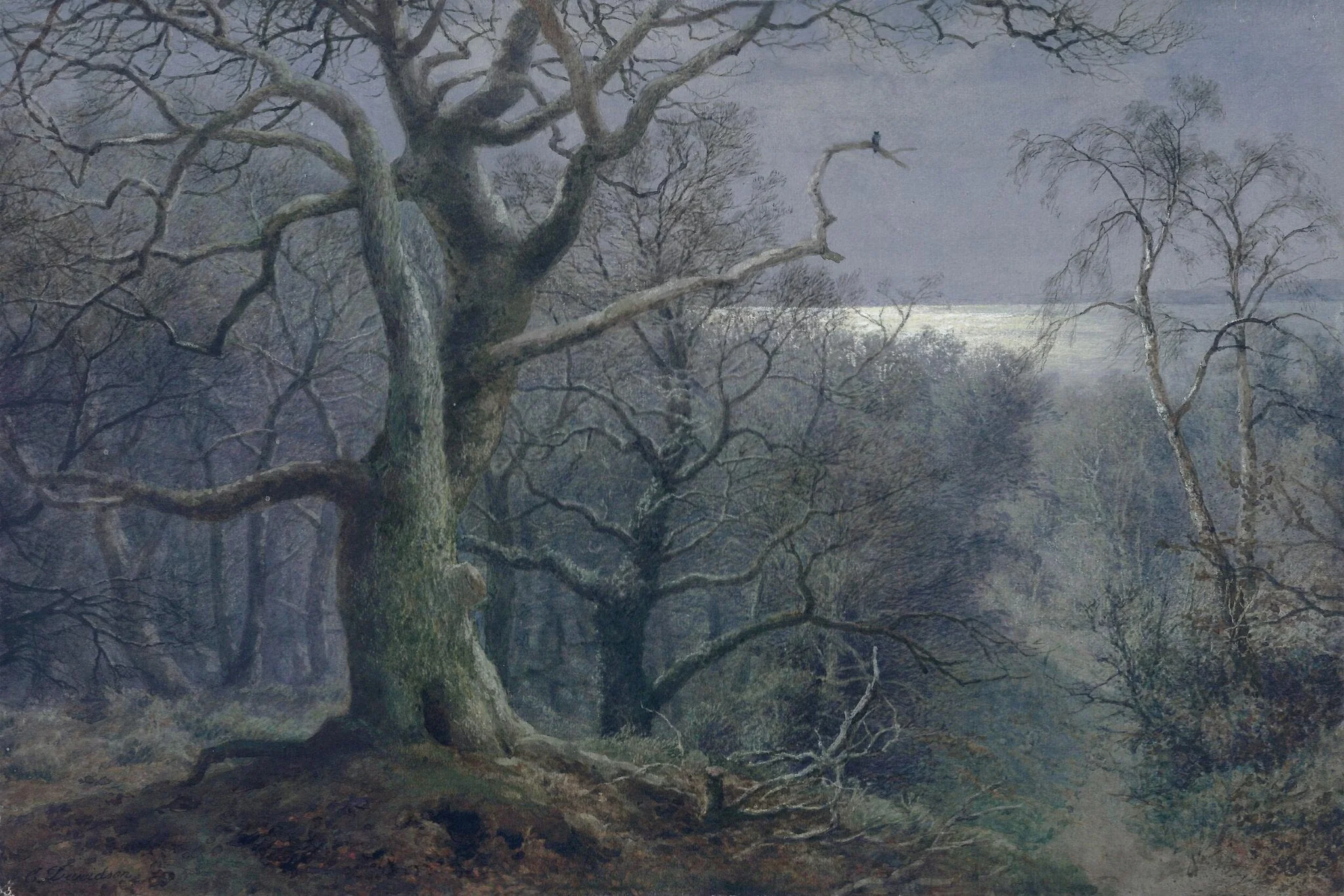 Moonlight scene near Falmouth