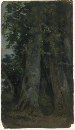 Trees, by William Howis junior, unspecified, 1852