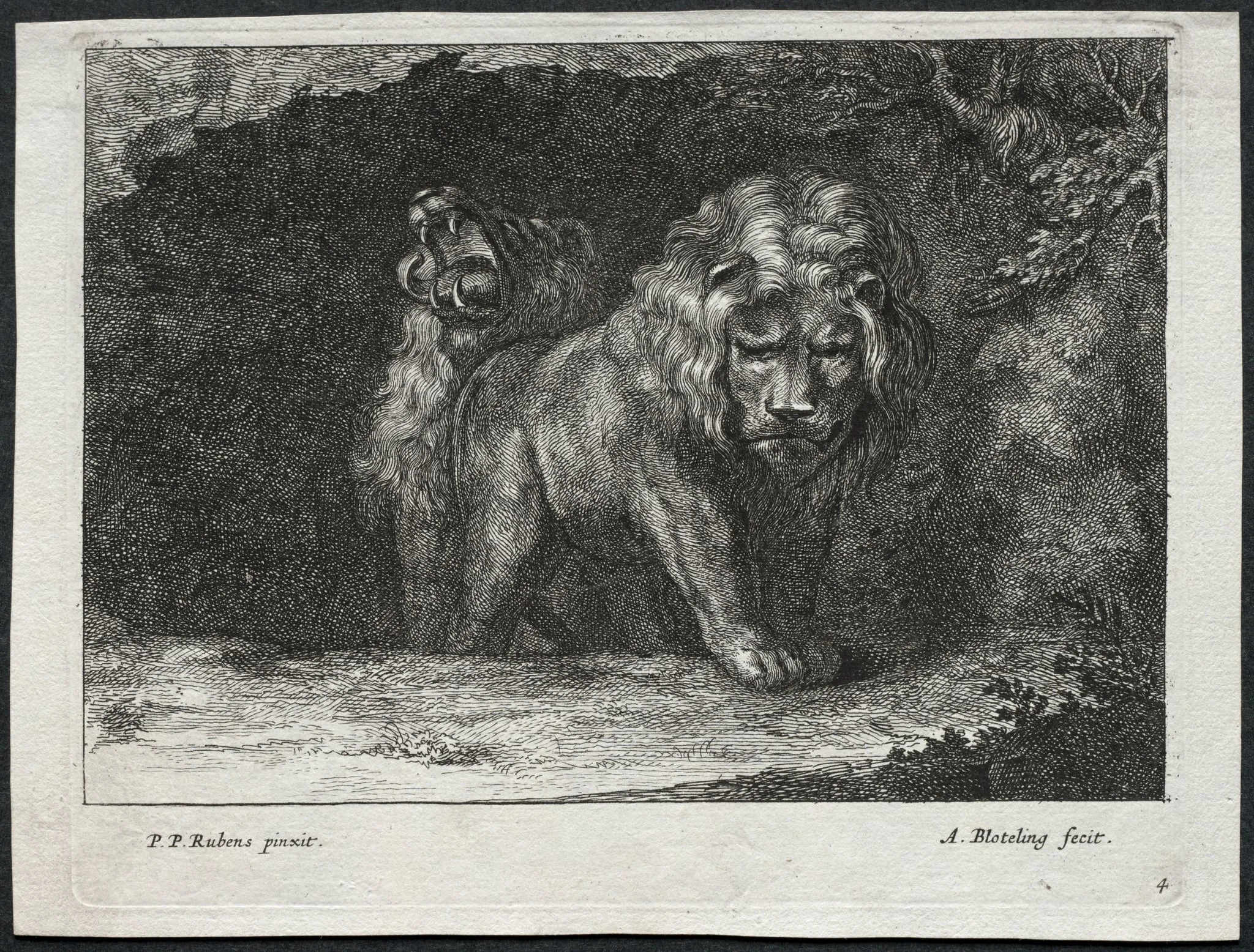 Various Lions, by Abraham Blooteling, 1672