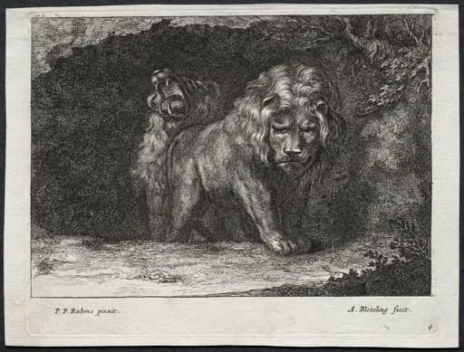 Various Lions