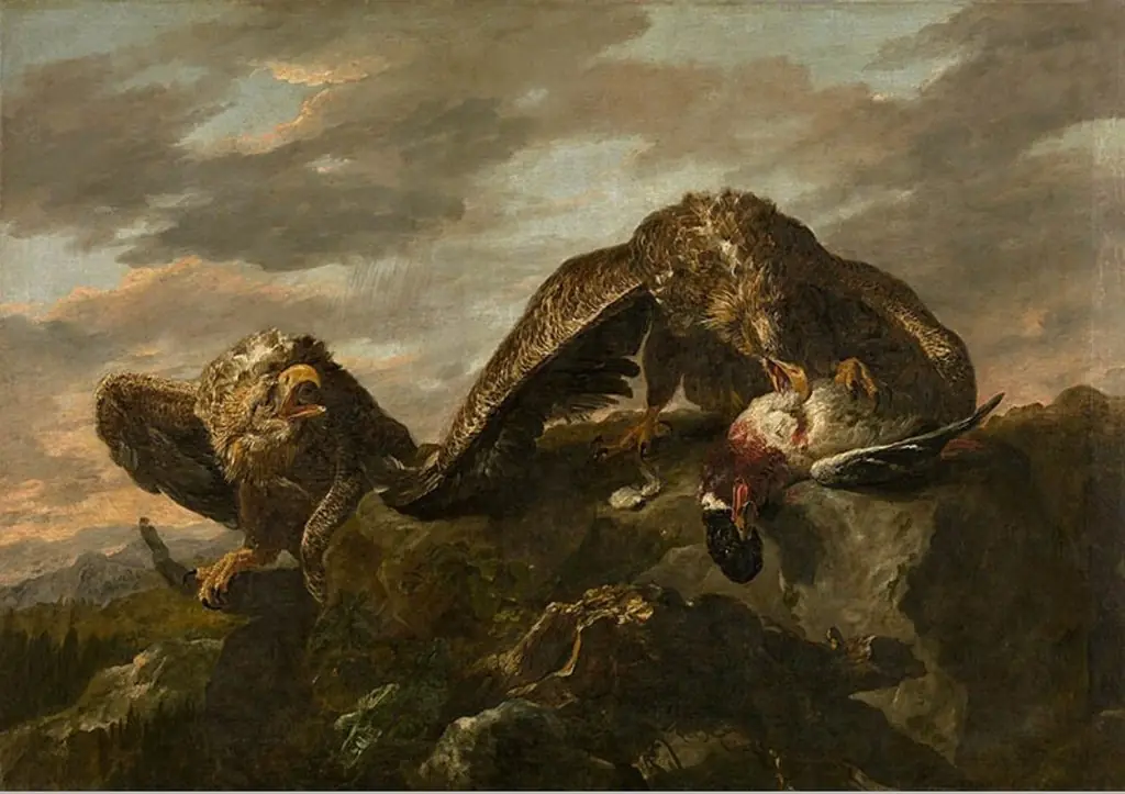 Eagles
