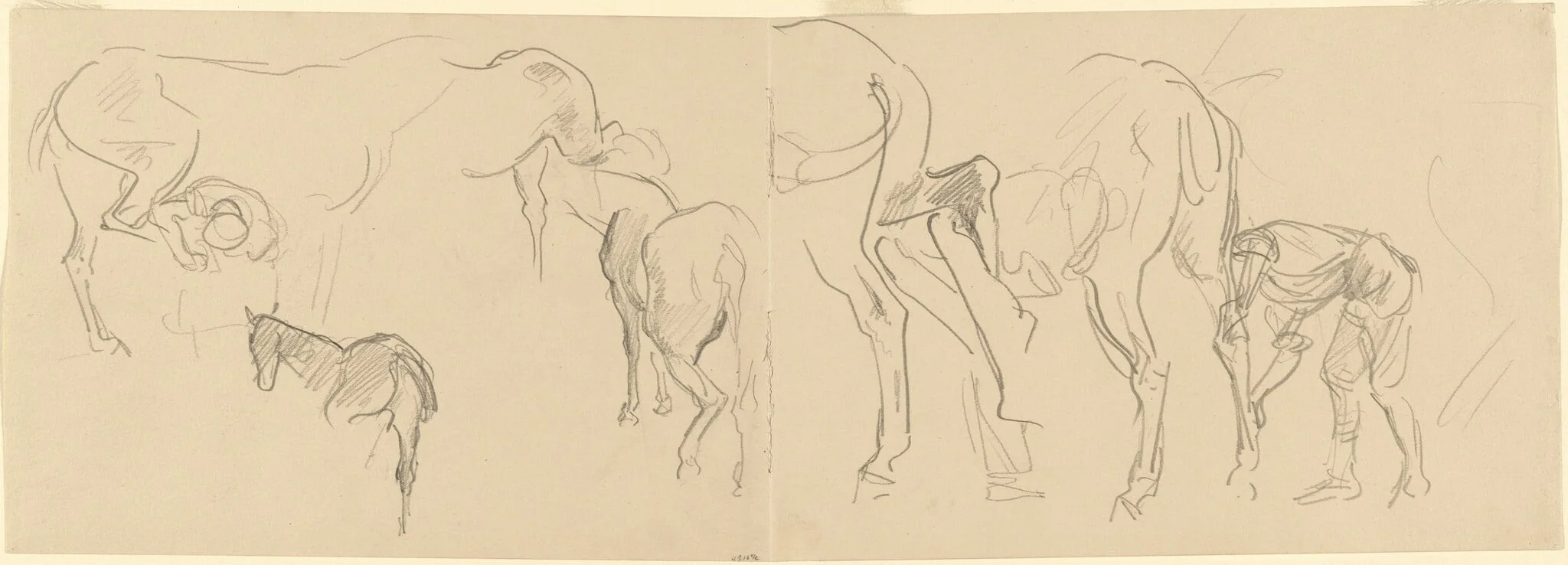 Studies for "Shoeing Calvary Horses at the Front" [recto], by John Singer Sargent, graphite, 1918