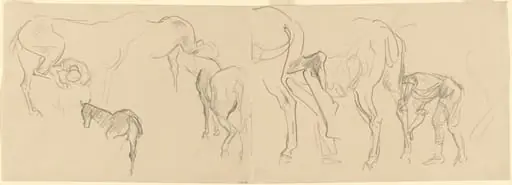 Studies for "Shoeing Calvary Horses at the Front" [recto]