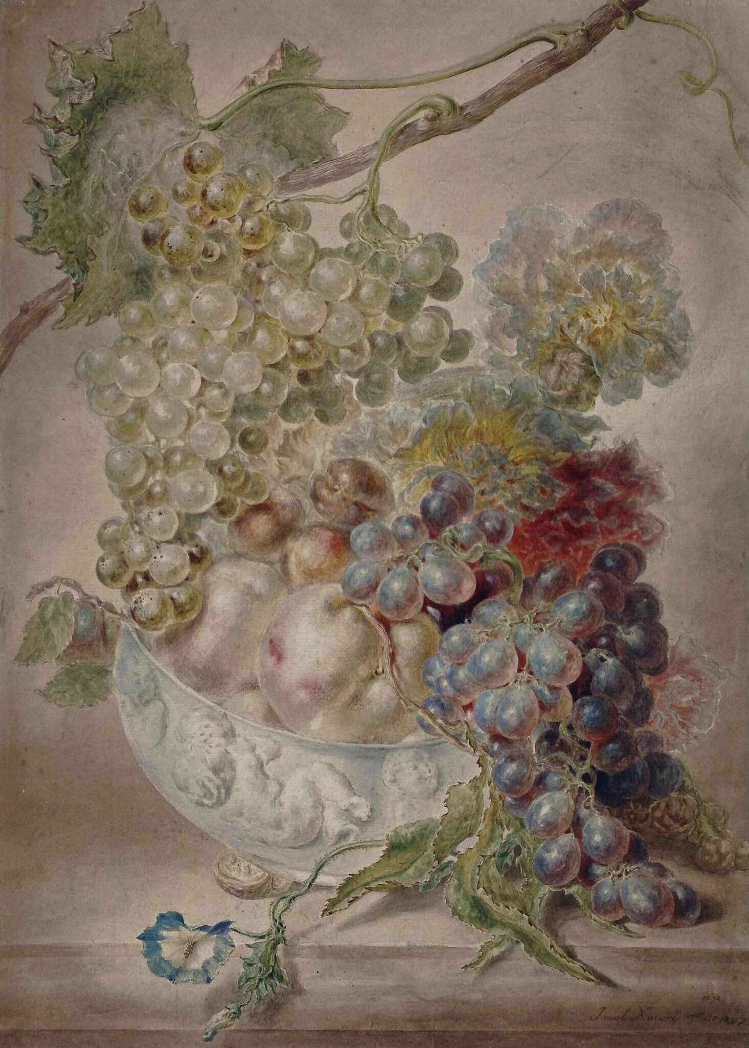 A vase of fruit and a vine branch, by Jacob Xavery, watercolor, 1757