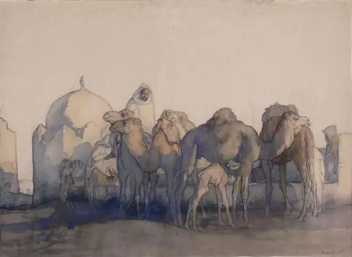 Camels at a well, Tunisia