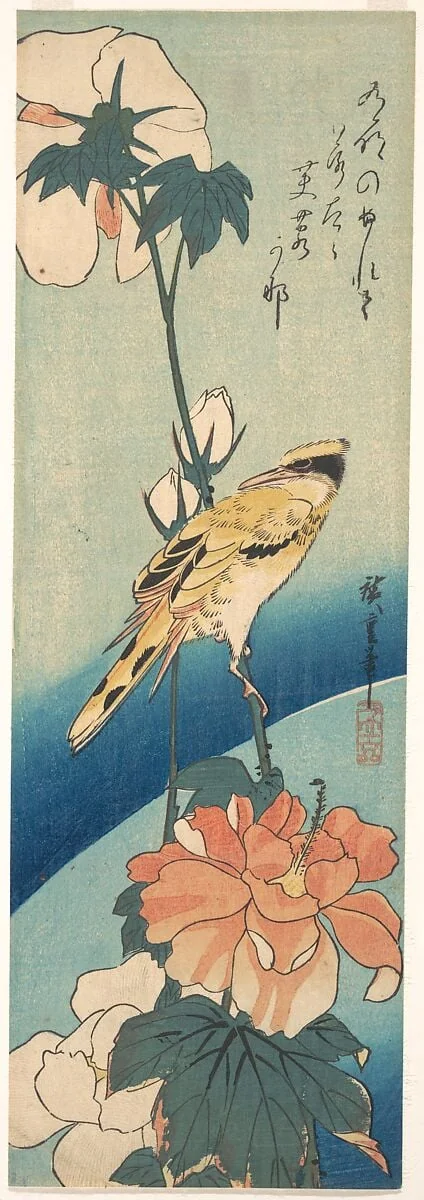 歌川広重画　扶養に高麗鶯|A Black-Naped Oriole on a Stem of Rose Mallow, by Utagawa Hiroshige, ink, 1834