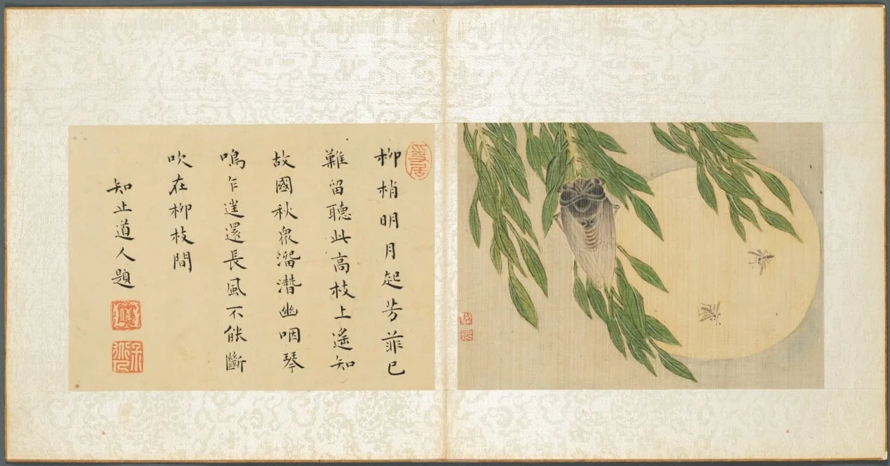 Album of Miscellaneous Subjects, Leaf 6, by Fan Qi, unspecified, 1654