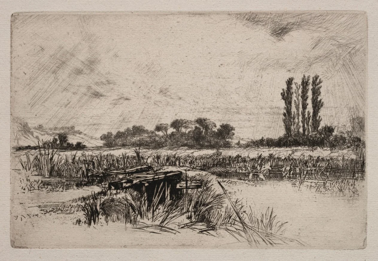 A Water Meadow, by Francis Seymour Haden, 1859