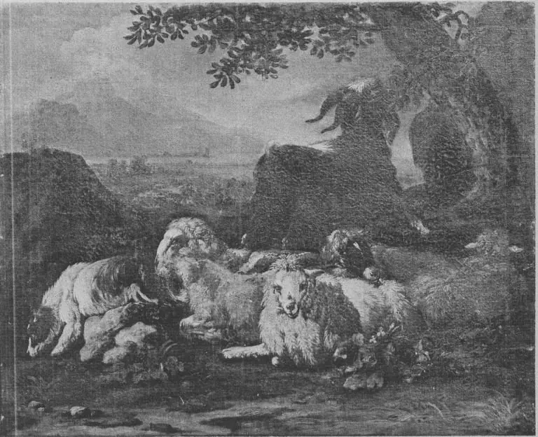 Q29907493