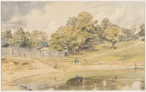 Pond at Hampstead