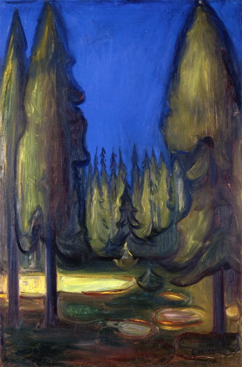 Dark Spruce Forest
