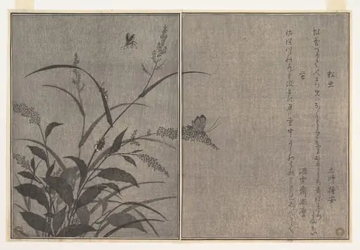 『画本虫撰』   「松虫」「虫蛍」|Tree cricket (Matsumushi); Firefly (Hotaru), from the Picture Book of Crawling Creatures (Ehon mushi erami)