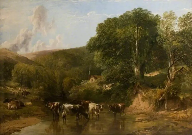 Wooded Glen