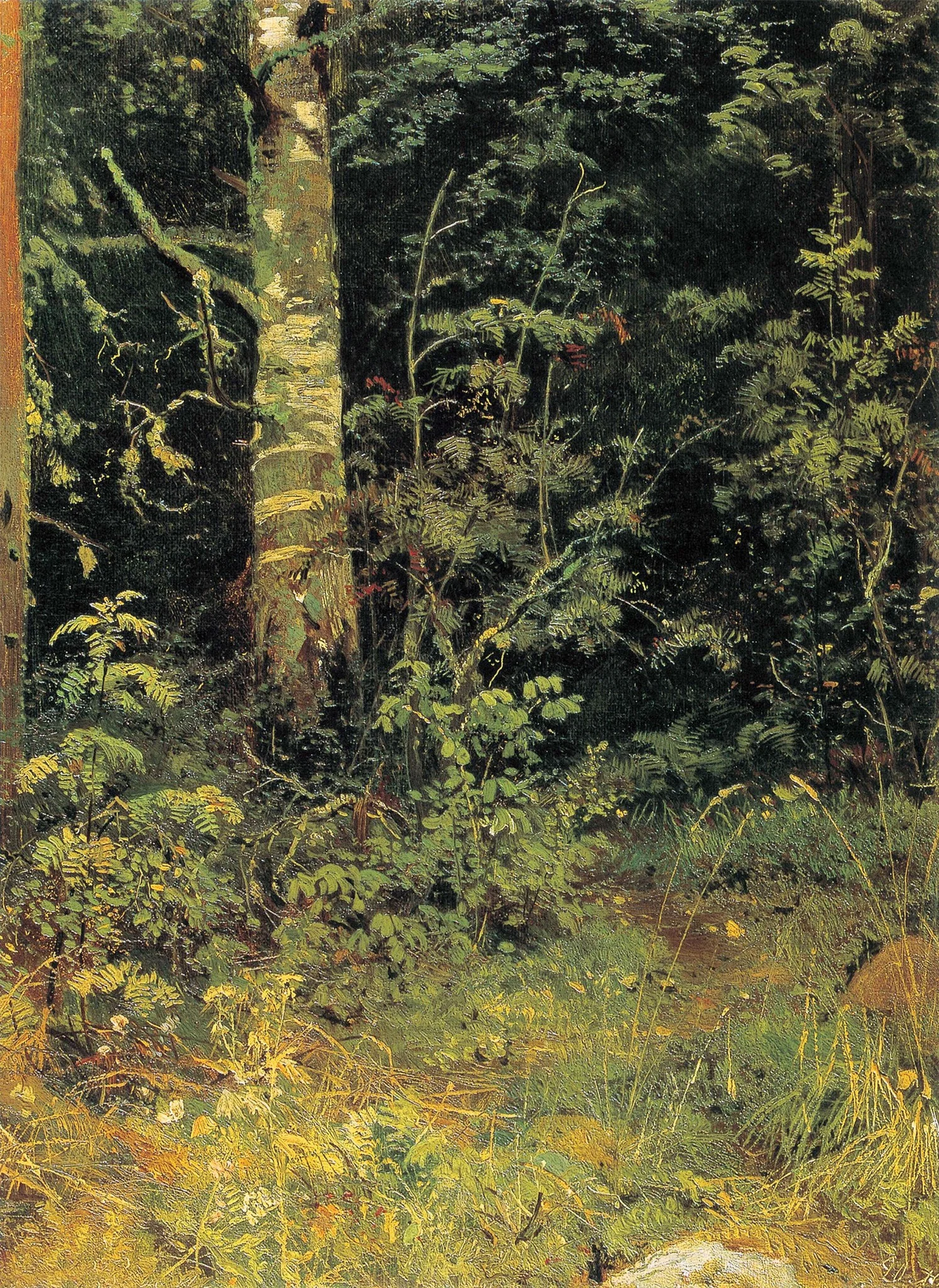 Birch and rowan, by Ivan Shishkin, oil, 1890
