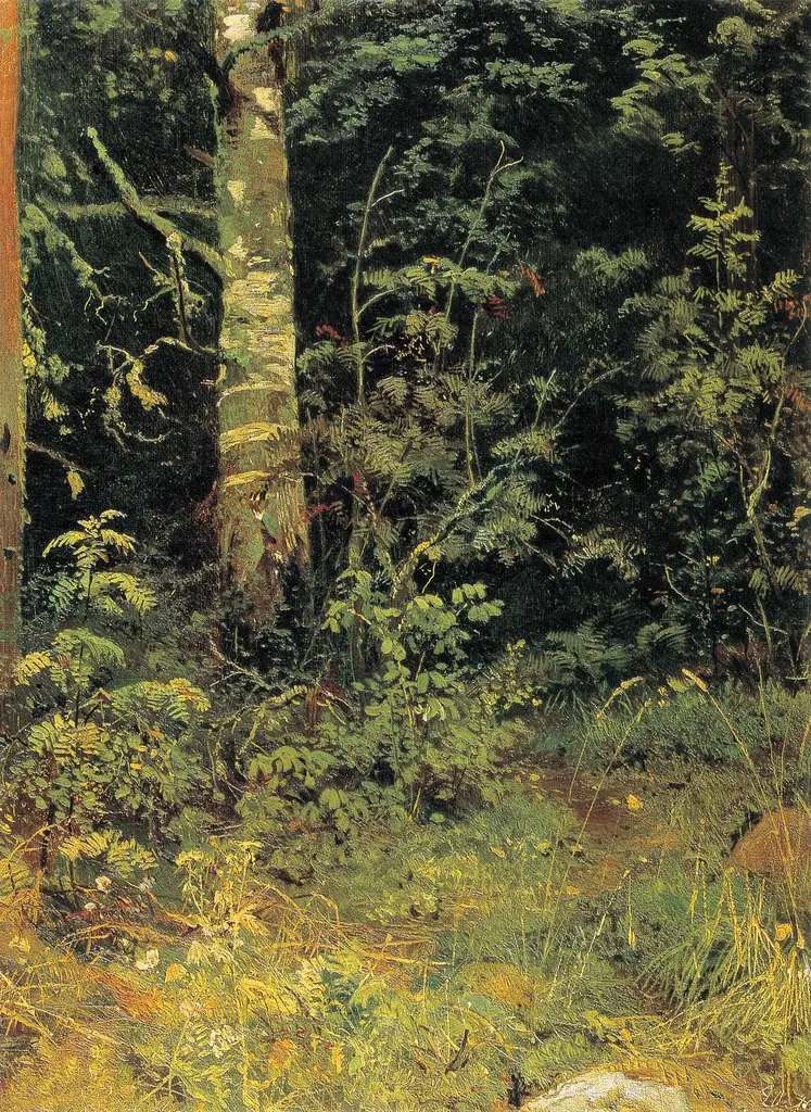 Birch and rowan