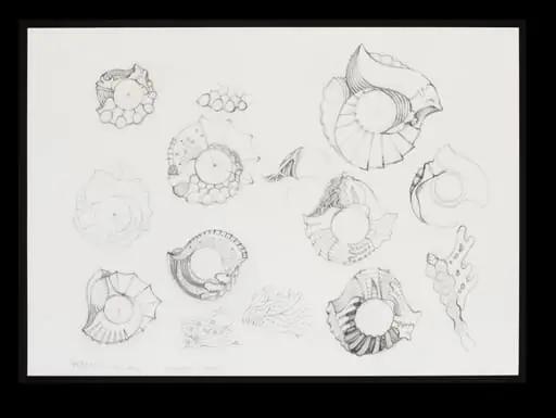 Contribution to V&A's 150th anniversary album