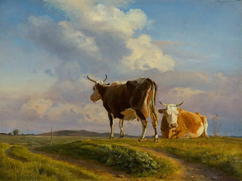 Two Cows in an Open Field