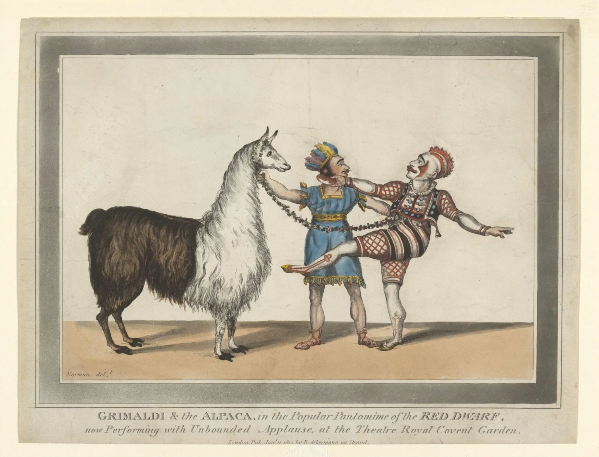 H Beard Print Collection