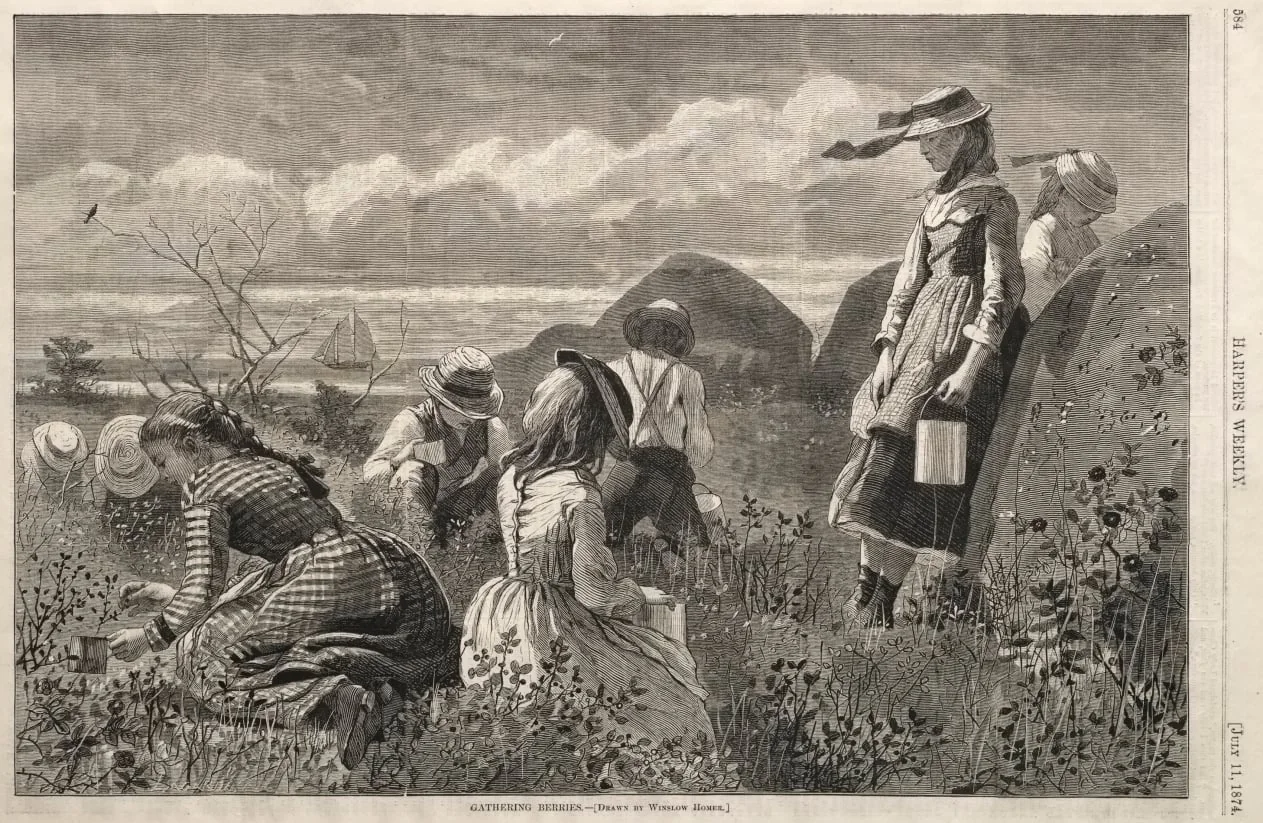 Gathering Berries, by Winslow Homer, 1874