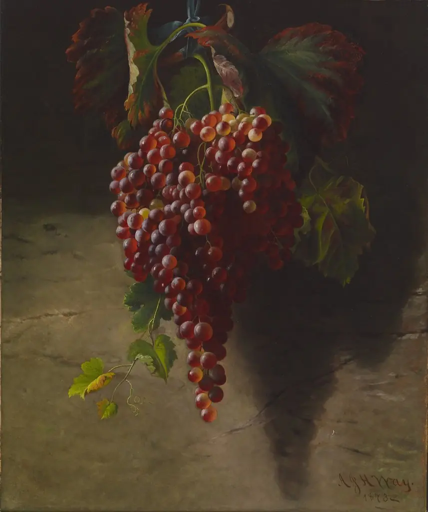Bunch of Grapes