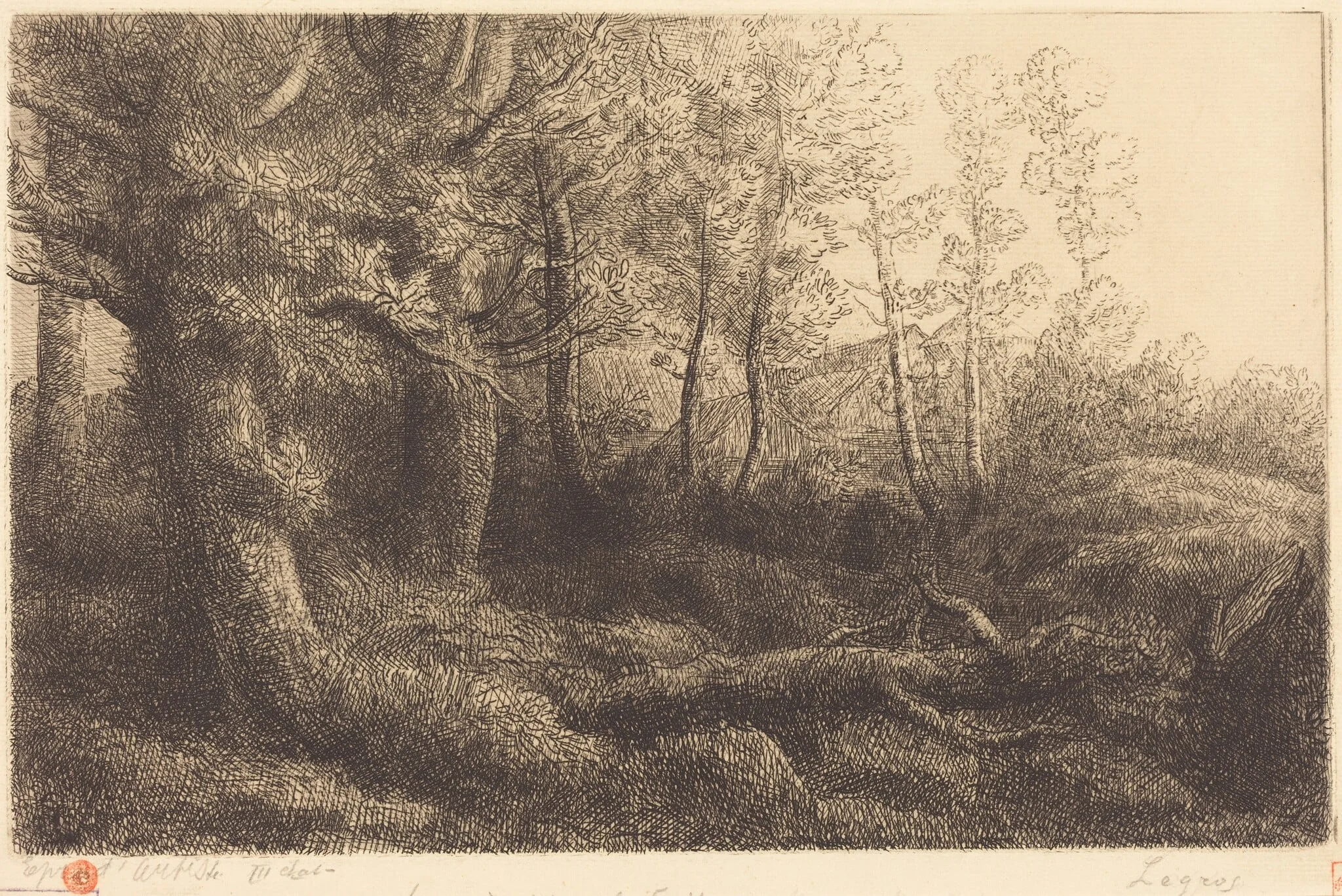 In the Forest (Lisiere de foret), by Alphonse Legros, ink, 1874