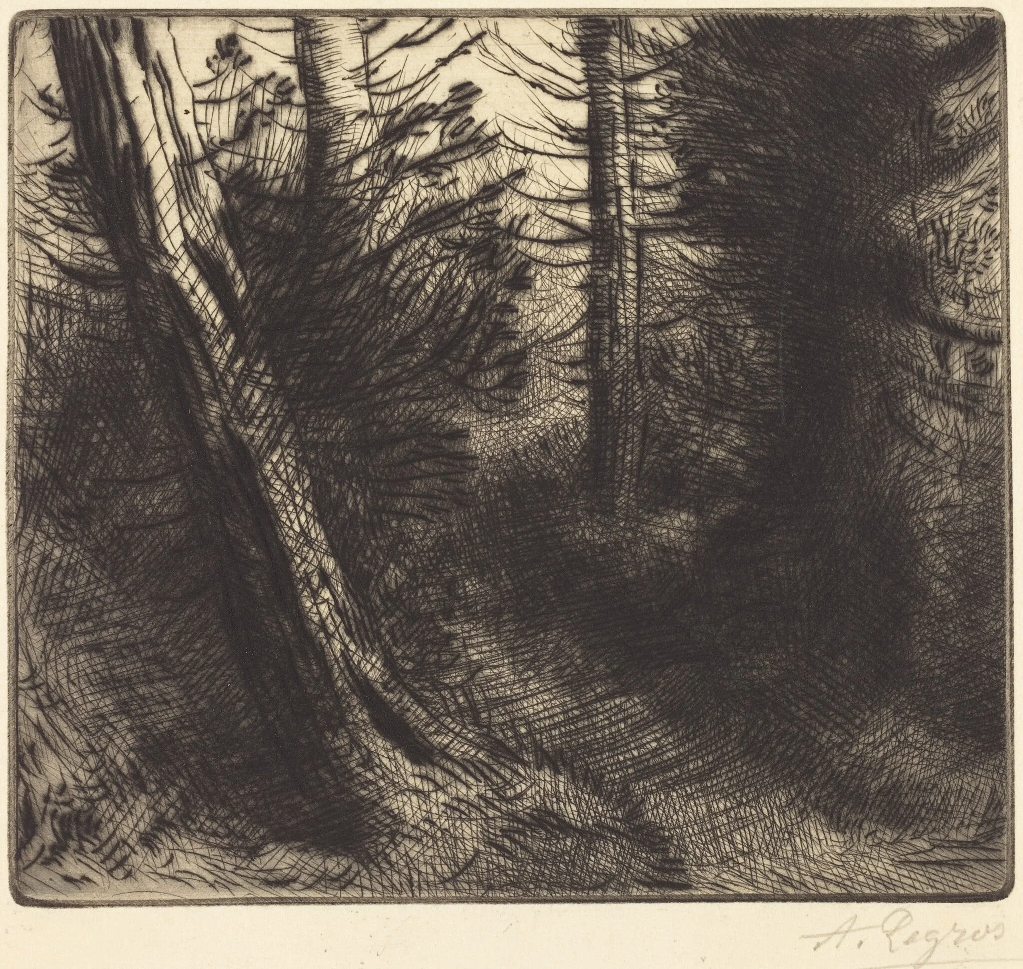 Path through the Woods (Sentier sous bois), by Alphonse Legros, ink, 1874
