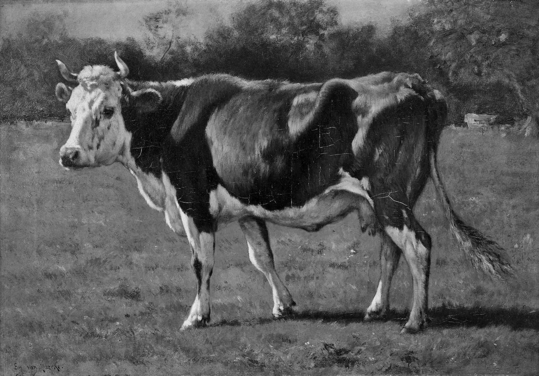 Study of a Cow, by Emile van Marcke, oil, 1890