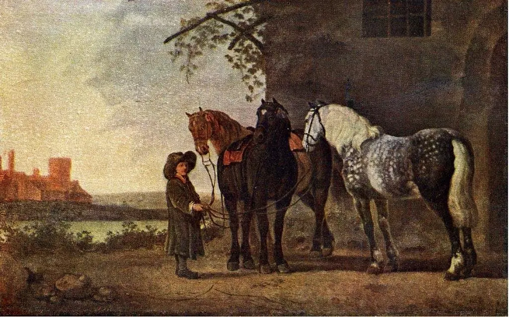 Horses