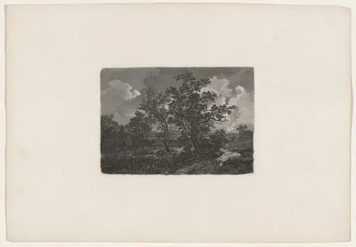 Nocturnal Landscape