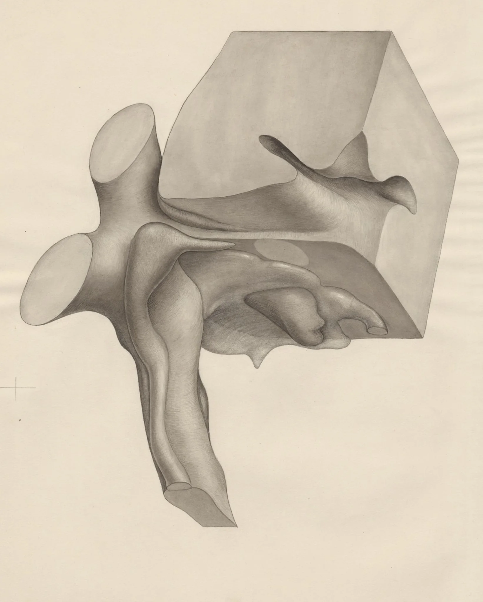 Undefined tissue, by Unknown, 1970