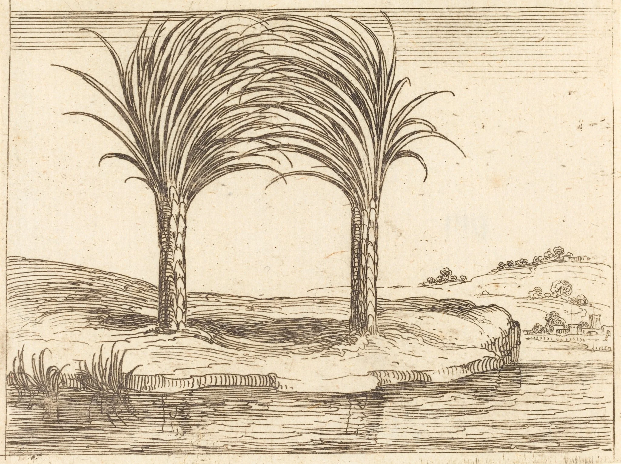 Two Palm Trees