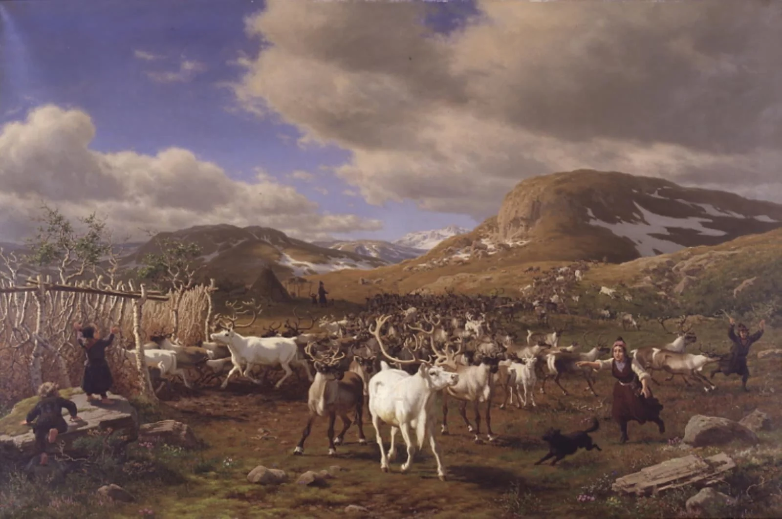 En rensdyrhjord drives til malkepladsen. Motivet fra højfjeldene nord for Røros, by Unknown, 1875