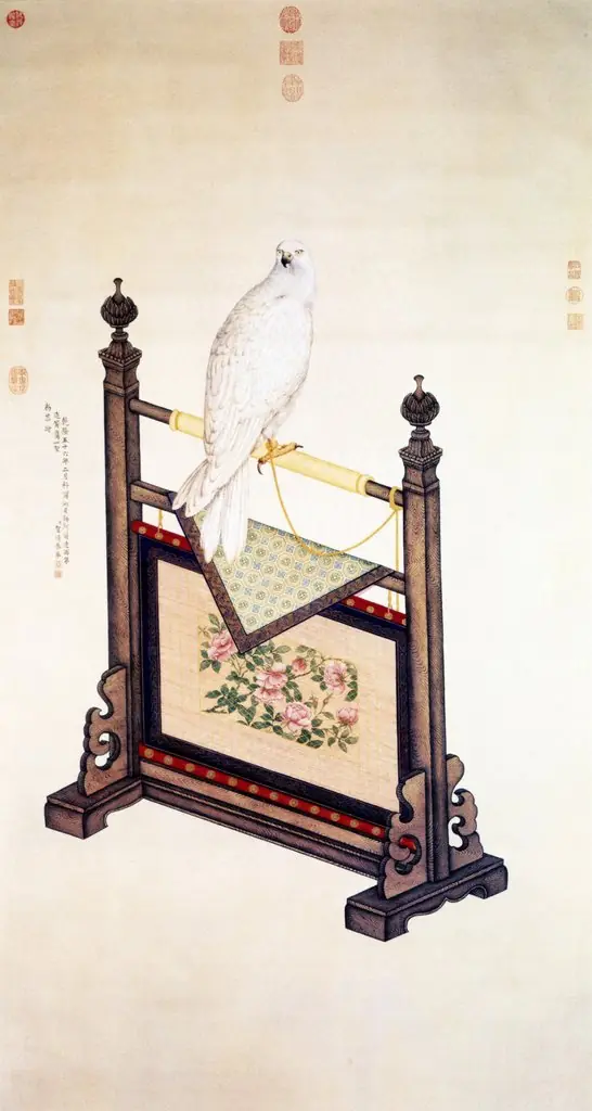 Falcon