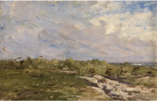 Rough Ground near the Sea