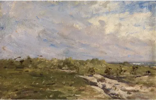 Rough Ground near the Sea