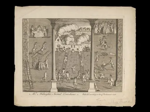 H Beard Print Collection