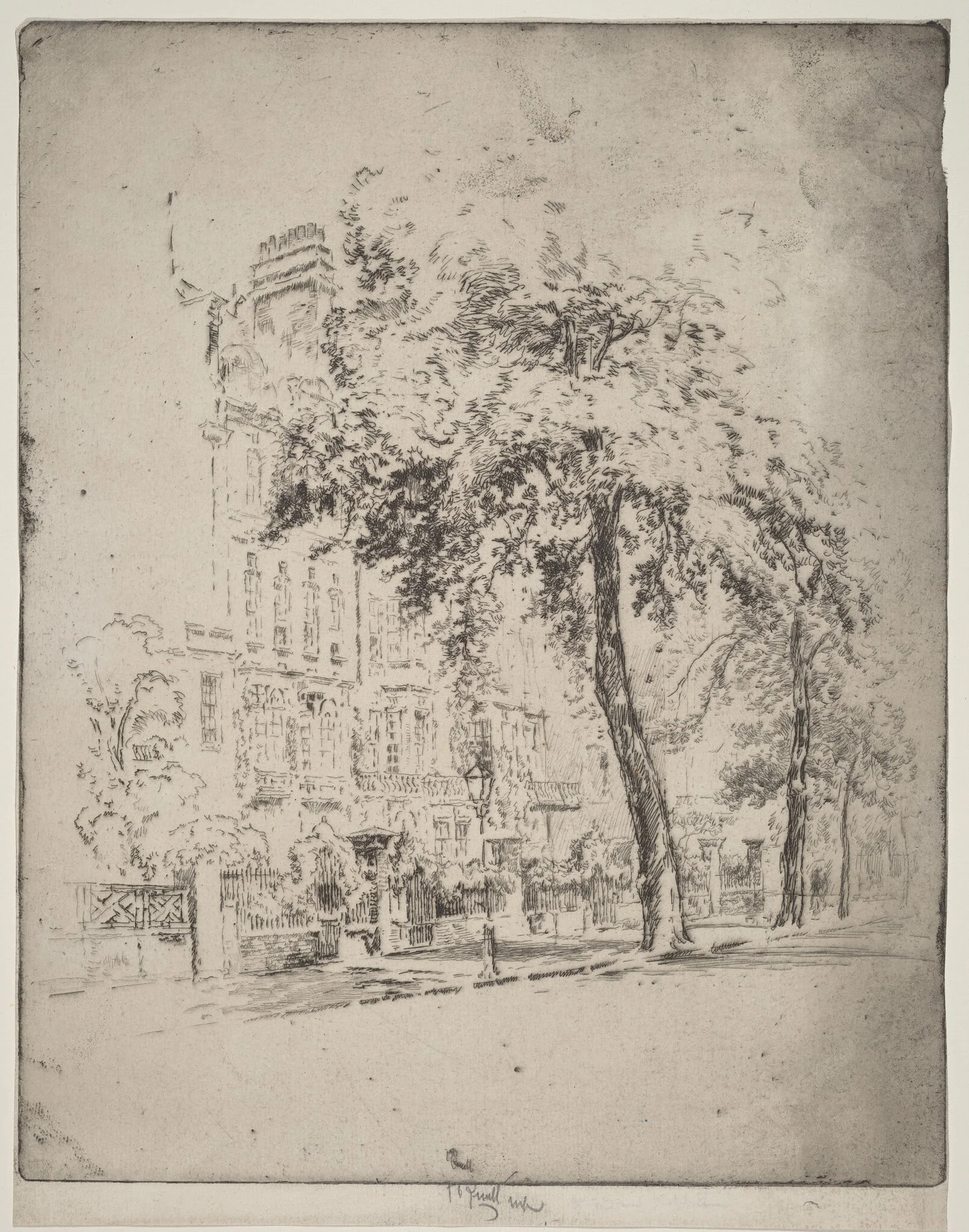 Big Tree, Cheyne Walk