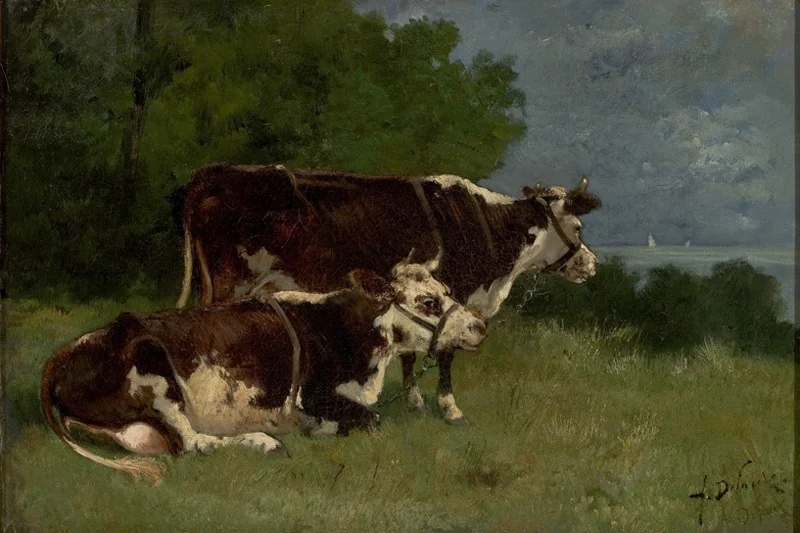 Two Cows