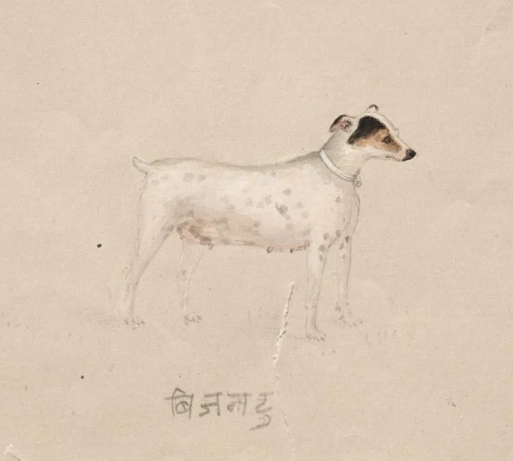 Bijantu