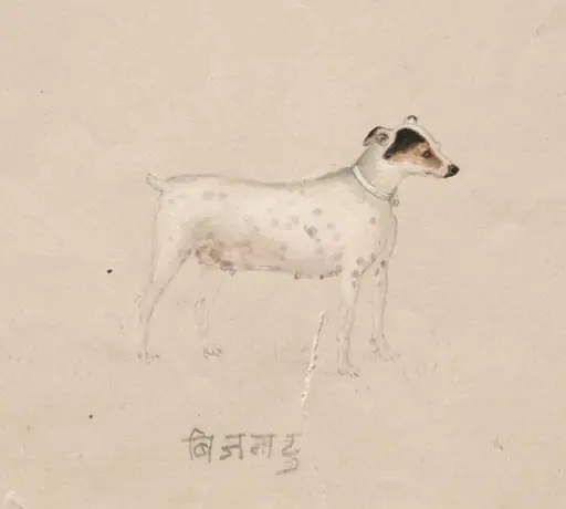 Bijantu