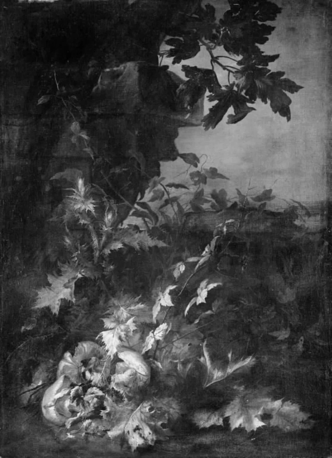 Thistles and Toadstools, by Unknown, 1705