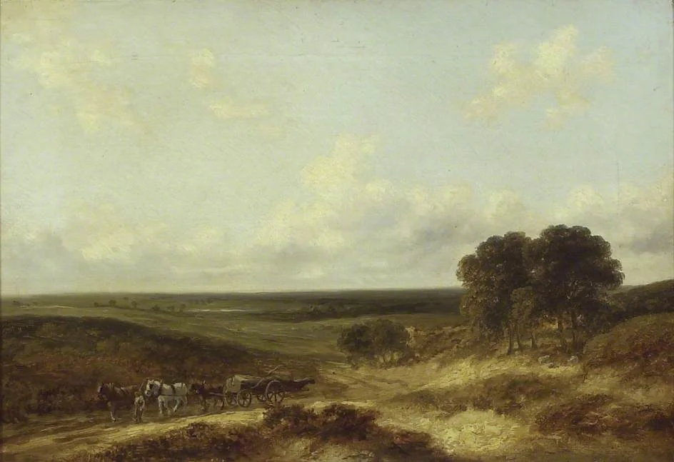 Mousehole Heath, Norfolk