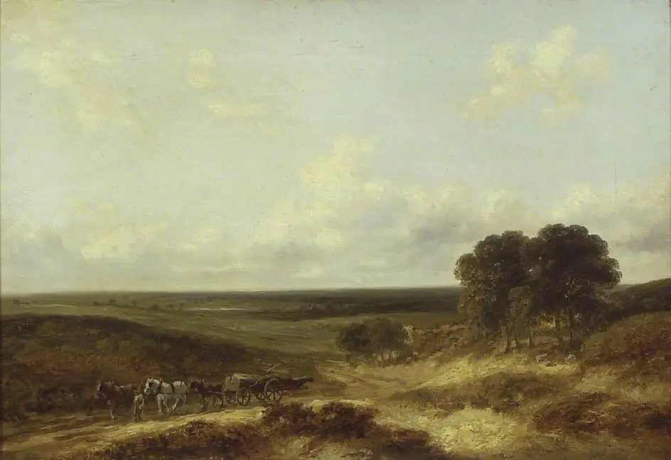 Mousehole Heath, Norfolk