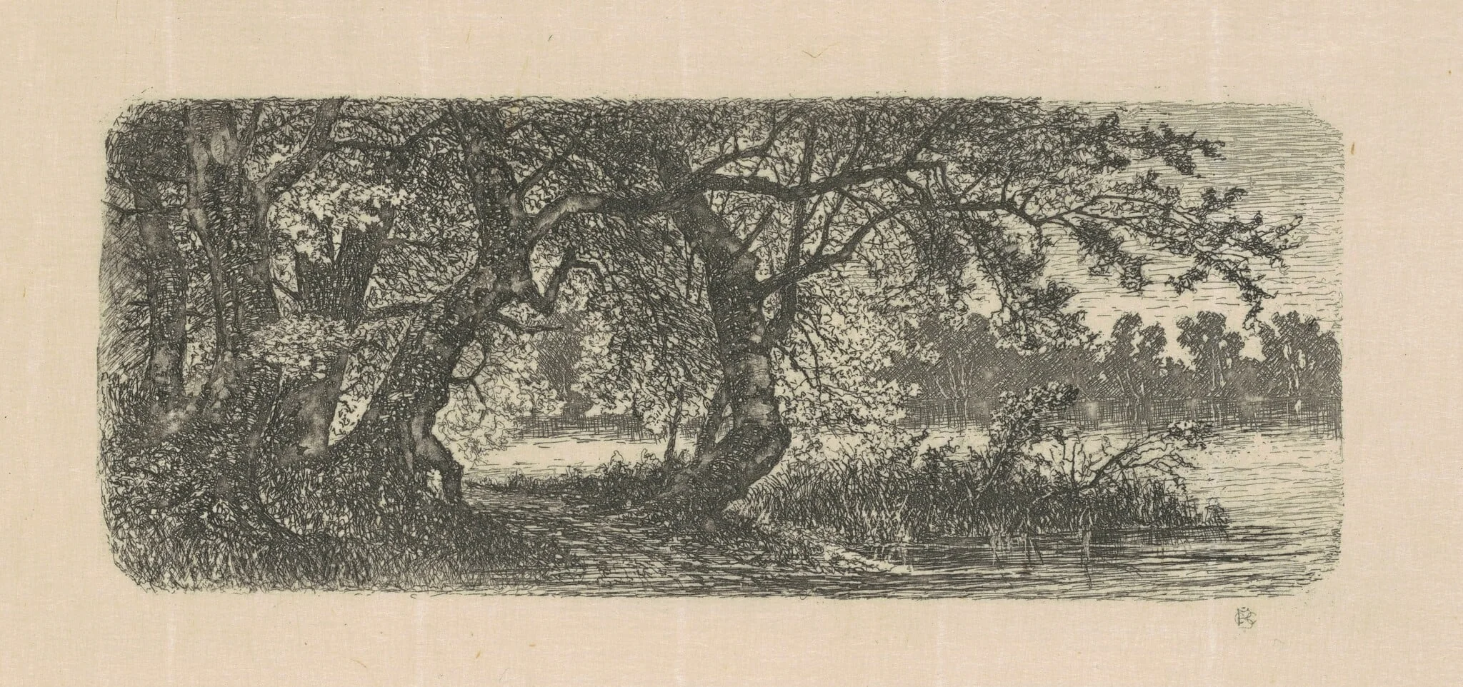 Water Elms, by Carl C. Brenner, ink, 1880