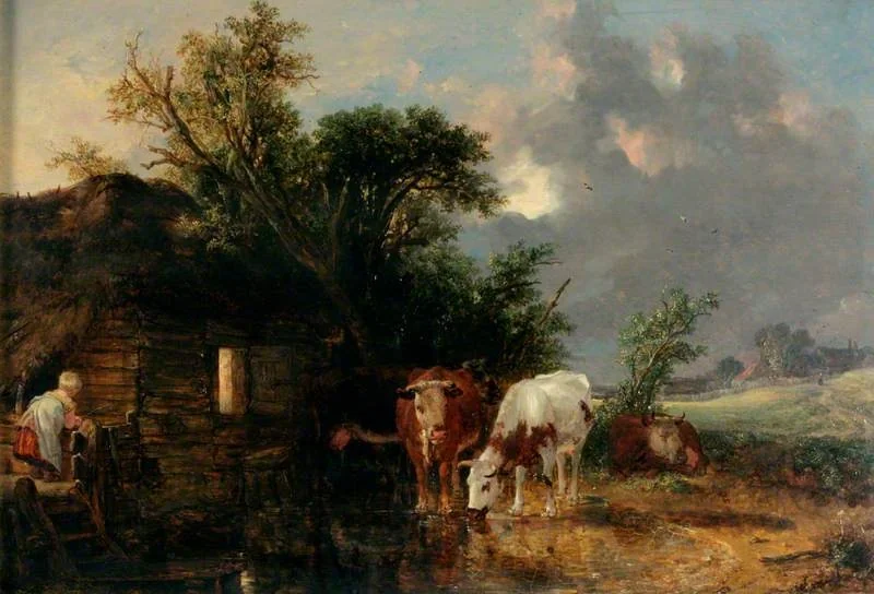 Cows Drinking