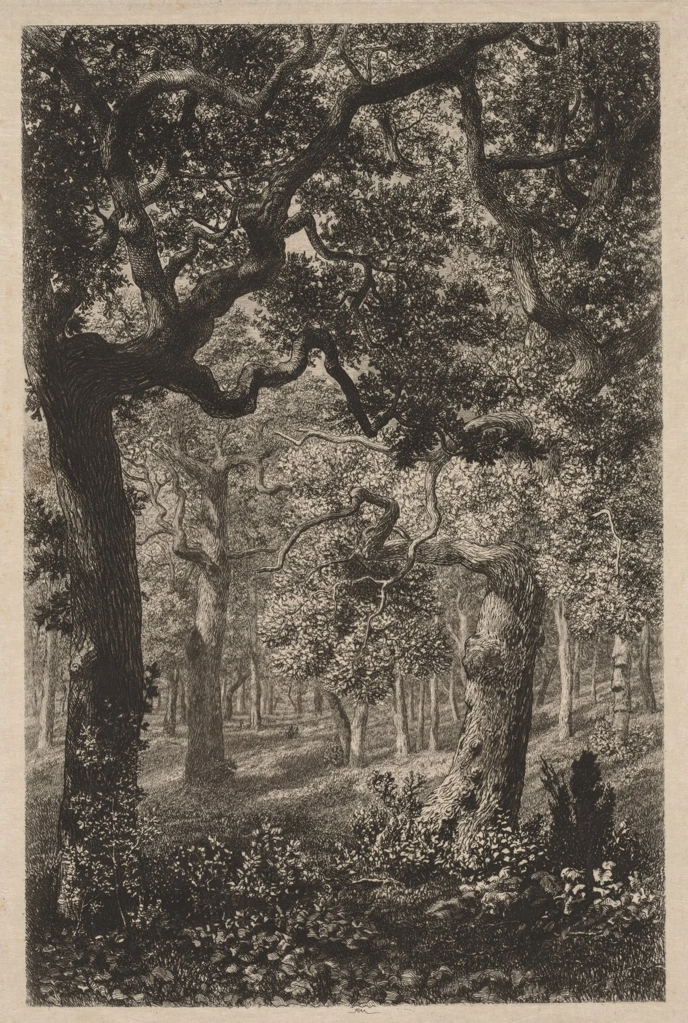 In the Woods