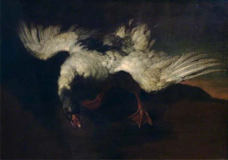Goose with Outspread Wings, by George Stubbs, oil, 1774