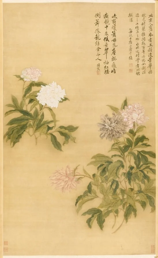 Herbaceous Peony, by Yun Shouping, unspecified, 1685