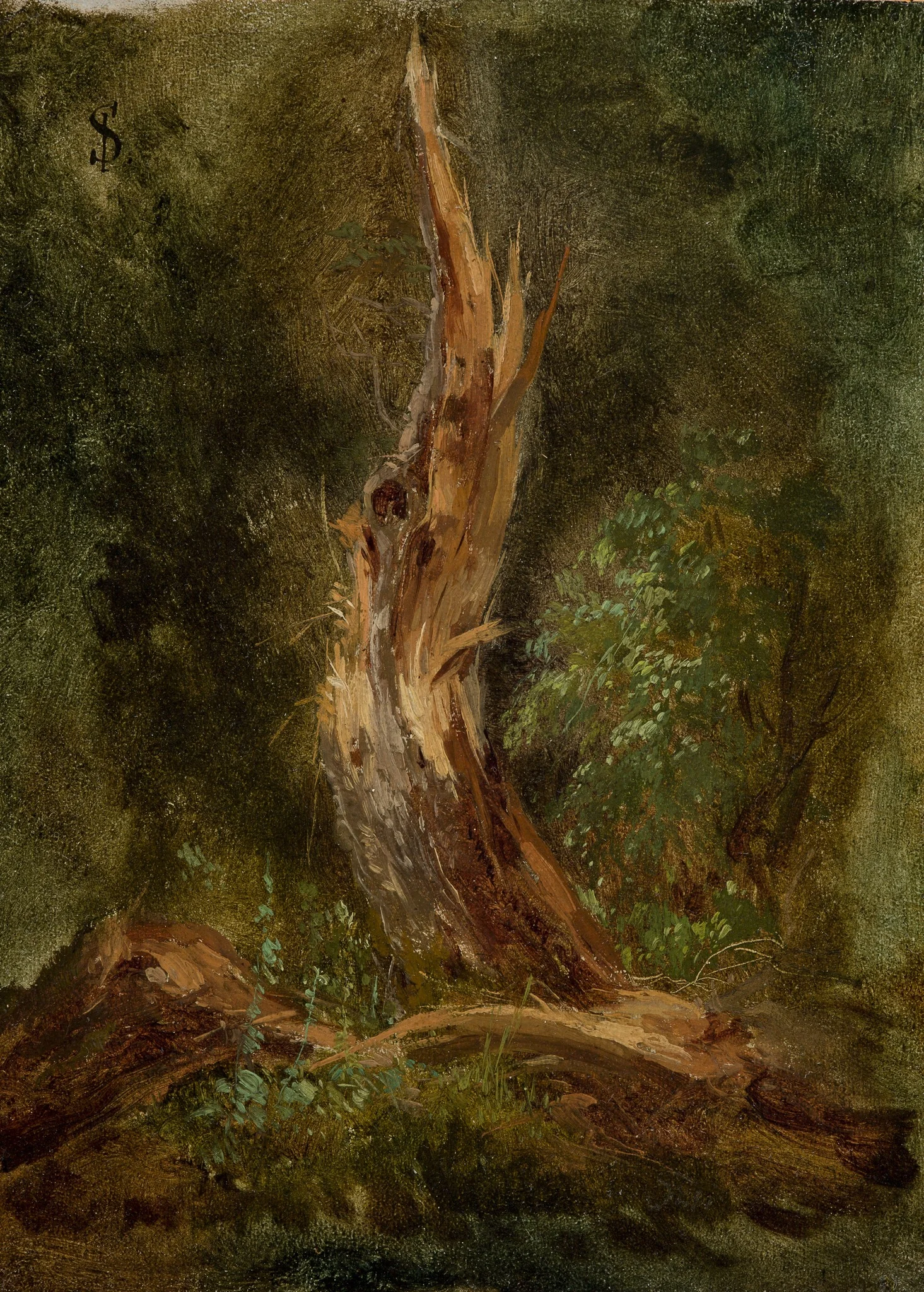 Volhynian Forest, by Józef Szermentowski, unspecified, 1864