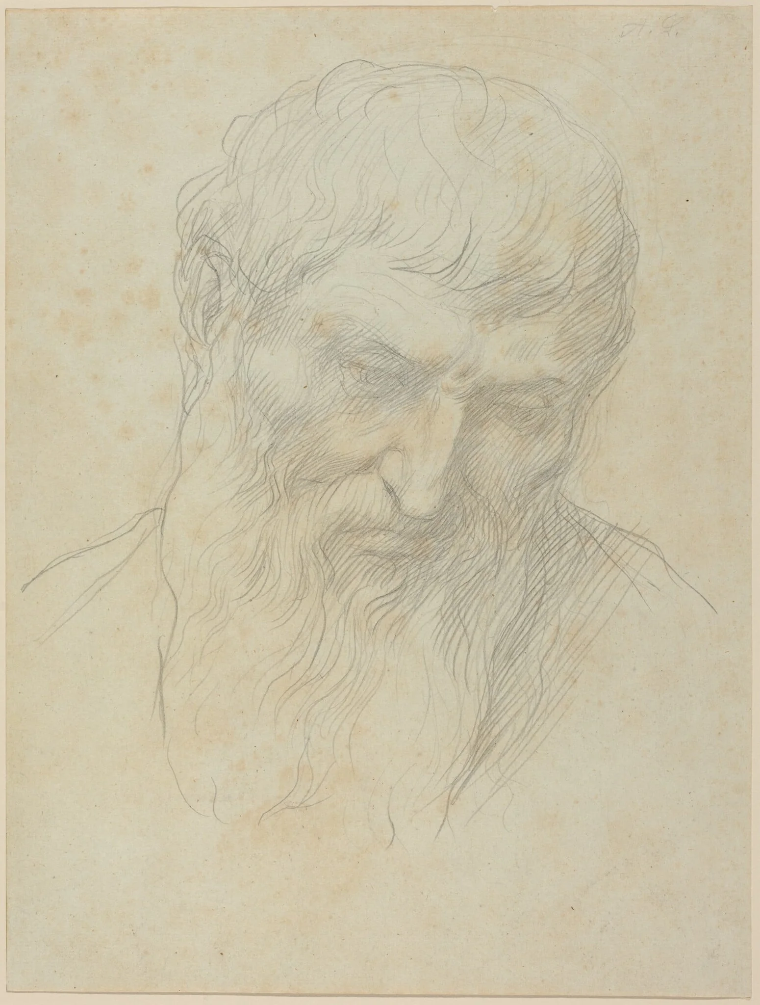Head of a Man with Curly Hair and Beard, by Alphonse Legros, graphite, 1874